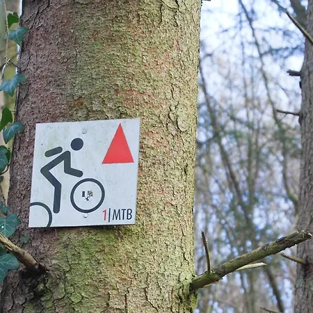 Gaestehaus An Der Moseltherme * Traben-Trarbach