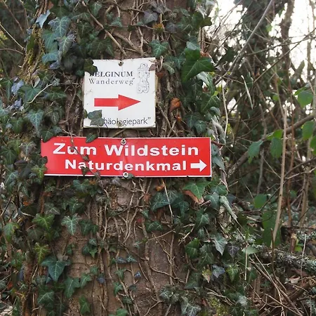 Gaestehaus An Der Moseltherme